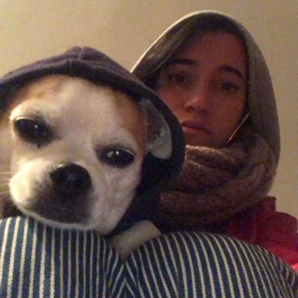 Meet your Posher, Izzy